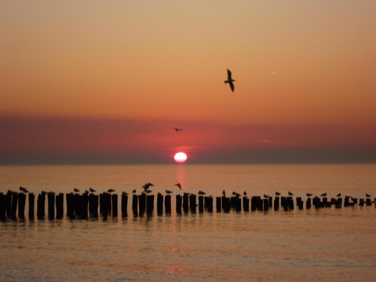 Vakantiewoning Domburg Do31 Εξωτερικό φωτογραφία